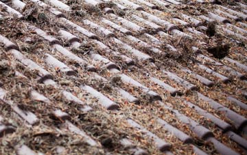 Bearley roof cleaning companies