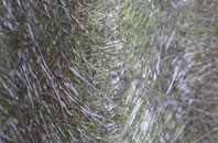 Bearley fibreglass roof work